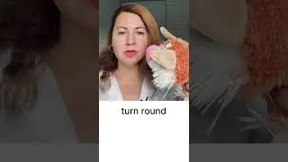Полезные английские фразы 