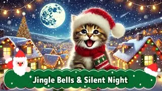 Christmas Melodies with a Kitten 🎄🐾Jingle Bells & Silent Night 🎶✨