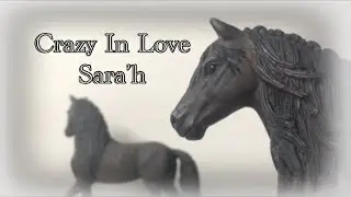 | Crazy In Love | Clip Schleich ( Sara'h )