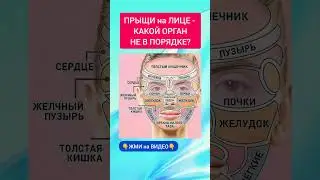 ПРЫЩИ на ЛИЦЕ. Какой орган не в порядке? #прыщиналице #акне
