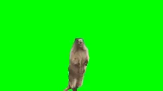 Alan, Alan, Alan Scream Green Screen | Scream Green Screen 