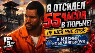 Я отсидел 55 часов в тюрьме! Не шей мне срок и Мясник из Болингброук. 2023 GTA 5 RP Harmony