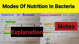 Modes of nutrition in bacteria | Autotrophic bacteria and chemoautotrophic bacteria | Bacteria