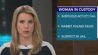 Woman accused of killing family’s pet rabbit
