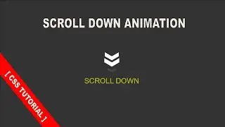CSS Scroll Down Animation || Pure CSS Scroll Down Effect