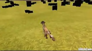 what's that glitch in multi player?!😱wildcraft(idk how owo)