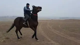 5 января 2022 г.
