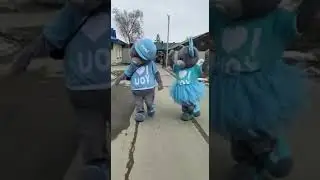Ростовые куклы Мишки Тедди идут на праздник