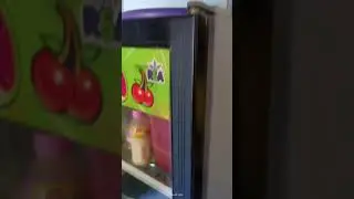 Cara Menghilangkan Suara Pada Pintu Showcase