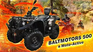 КВАДРОЦИКЛ Baltmotors 500 за 375 000 руб в Мото-Актив