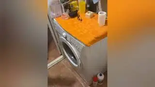 Вся суть женщин