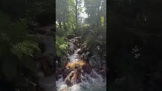 The Pirates Of The Caribbean, Relaxing Waterfall