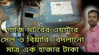 Gazi motor water seal and bearing only 1000 taka.গাজি মটরের ওয়াটার সেল ও বিয়ারিং বদলানো মাত্র এক হাজ