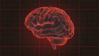 Albert Einstein का दिमाग क्यों था खास ? Fantastic motivational video please like or subscribe