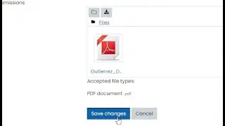 How to replace or change  uploaded PNPKI application  file on LMS