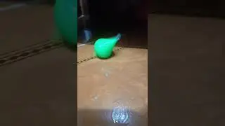 19 de agosto de 2024