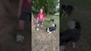 А вы знаете как выглядят уроки технологии в Венгрии?#Shorts
