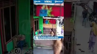 Viral Video Ibu Refleks Jatuhkan Bayi Dan Pilih Nyebur Selamatkan Balita