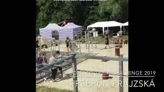 Born to trick challenge 2019 - FREERUN PRAJZSKÁ
