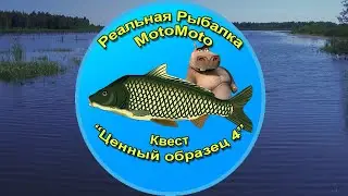 Квест 