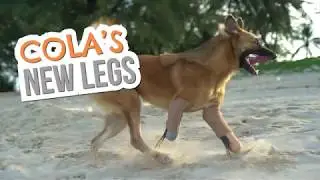 Cola's new legs