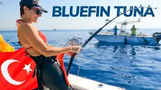 Chasing the World’s Most Expensive Fish | Fishing For Bluefin Tuna