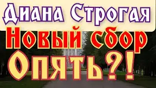 Диана Строгая - новый сбор, опять?! | Сплетница