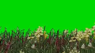 Best 3D Green screen effected Green grass.[Best of GSE]