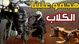 أش هاد الحصلة😱تفركعات لينا الرويضة فالخلا | مغامرة في الأدغال (الجزء1) Lost in the wild