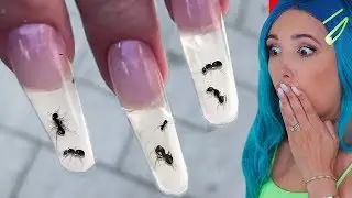 NAIL DESIGNS THAT SHOULDN'T EXIST | Mariale