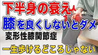 【一生歩ける足を手に入れる方法】膝の痛みを改善し膝関節が滑らかに動く！ウォーキングやしんどい筋トレはいらない！老化防止で健康寿命を延ばす！