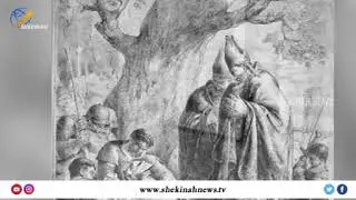 MAY 11 | DAILY SAINT | ST MAMERTUS