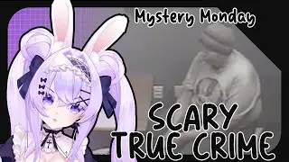 Are these people for real..? | Ghost Vtuber Reacts to True Crime Interrogations