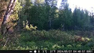 20240527 разговор вОронов. Смотреть со звуком