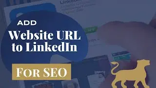 Add Website URL to LinkedIn Profiles - Personal and Business Pages