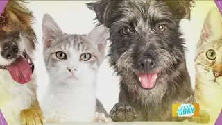Weekly pet pics!