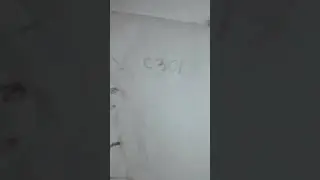Рисую арт @Nastenka_Kosh 2ч