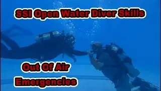 SSI Open Water Skills Out Of Air Emergencies