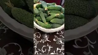 Огурцы заморозить или посушить. Снимаю пробу.