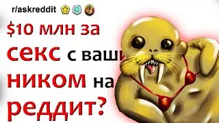$10 000 000 ЗА С#КС С ТЕМ, КТО У ВАС В ЮЗЕРНЕЙМЕ - ДА ИЛИ НЕТ? | апвоут, истории реддит на русском