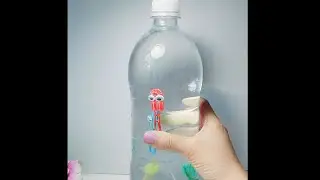 Waste Water bottle Craft for Kids