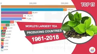 World's Largest Tea Producing Countries 1961-2018