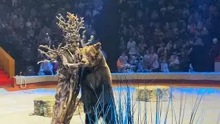 Леший с Медведем. Морозко в Казанском цирке часть 7