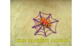 ПЛАСТИЛИНОВЫЙ МУЛЬТИК ПРО ПАУЧКА СВОИМИ РУКАМИ