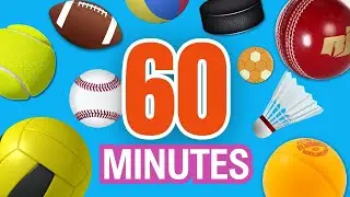 learn sport balls in english for kids in 60 minutes