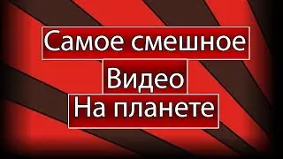 САМОЕ СМЕШНОЕ ВИДЕО НА ПЛАНЕТЕ|THEYUTO|