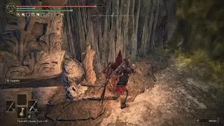 Elden Ring DLC - Healing is Optional