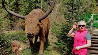 Где берем позитивную энергию? Все просто - Живите здесь и сейчас!