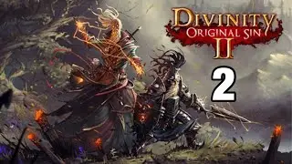 Divinity original sin 2