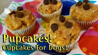 Pupcakes Recipe (4-ingredients!) - Easy Home Baked Cupcakes For Dogs!